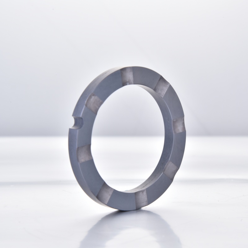 Silicon Carbide Pump Thrust Ring