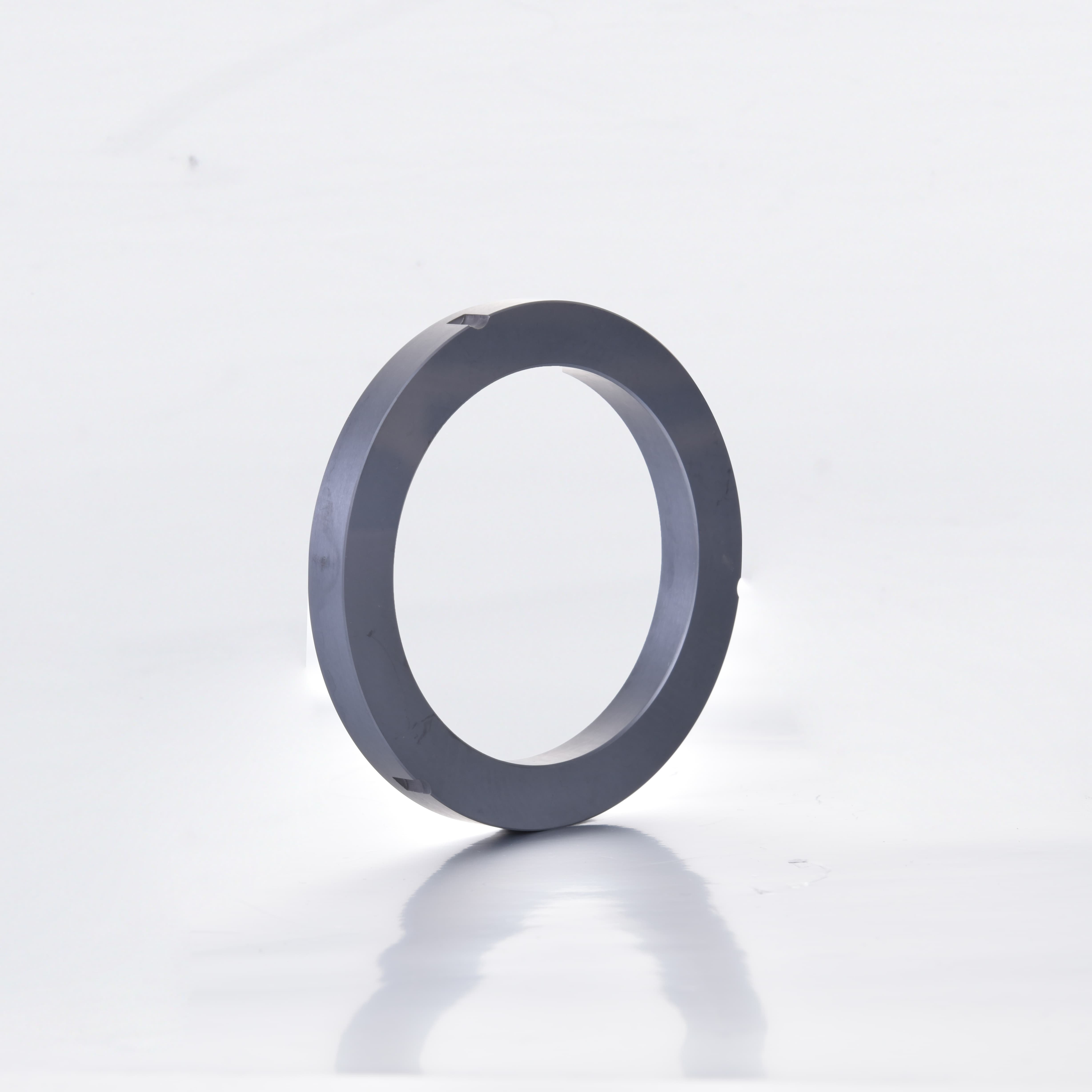 Silicon Carbide Rotary Ring (Stationary Ring)