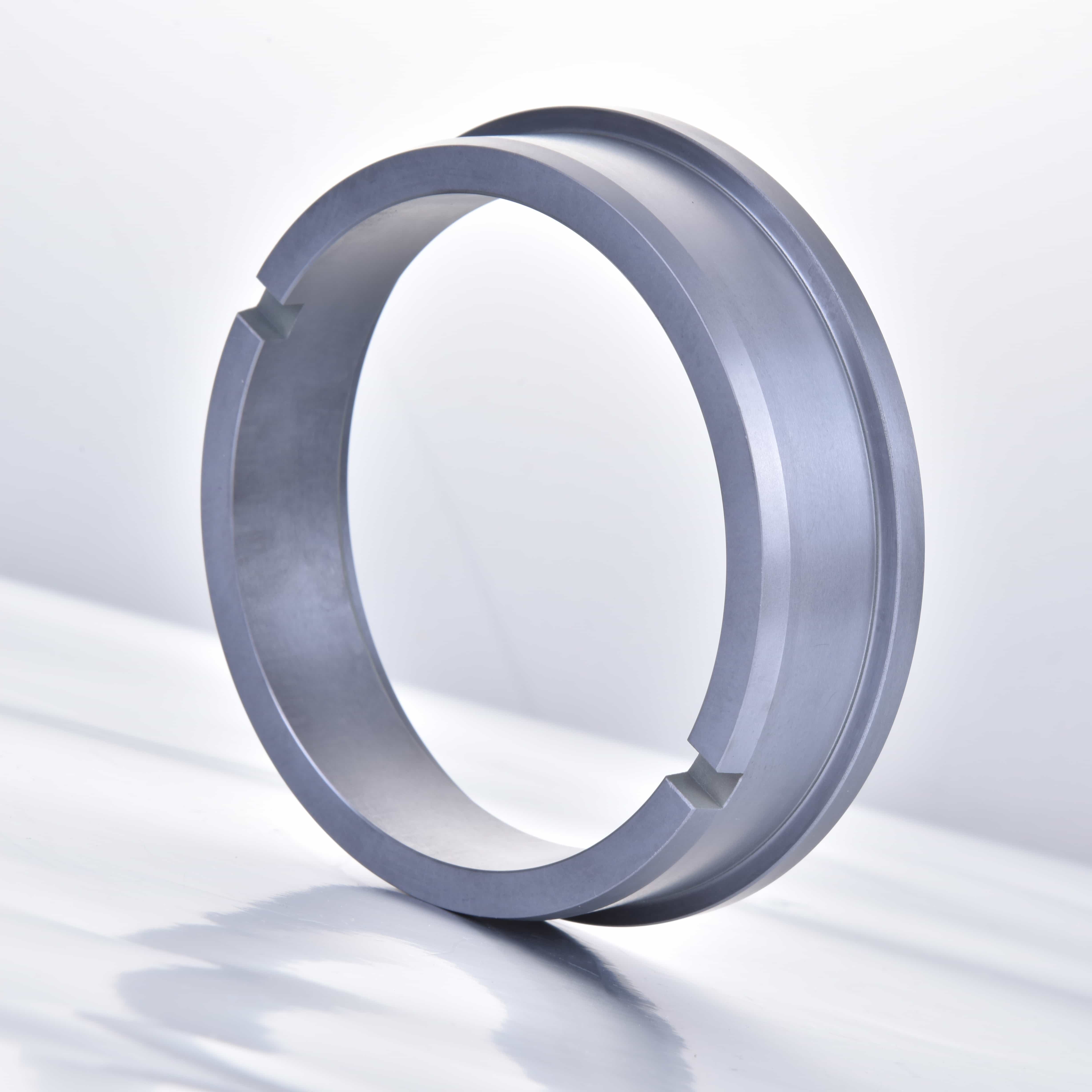 Stationary Ring Assembly - I